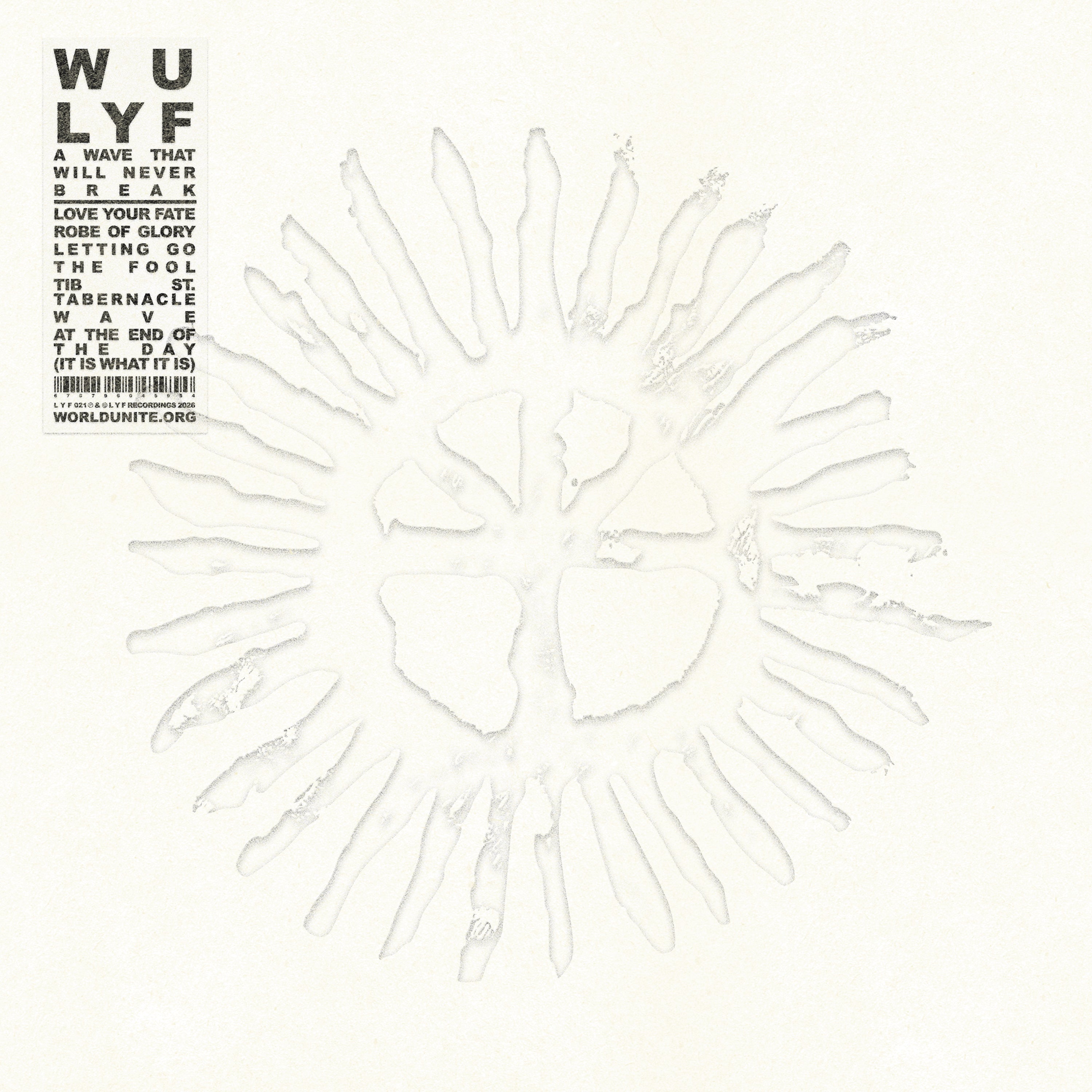 A WAVE THAT WILL NEVER BREAK LP – WU LYF